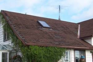 Why Is My Roof Failing?