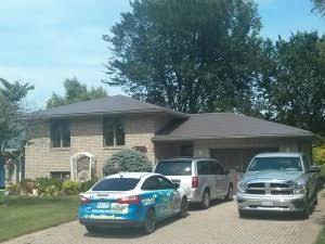 OConnor.1344.3780Woodward.Windsor.Ideal .WB .MustangBrown1.jpg